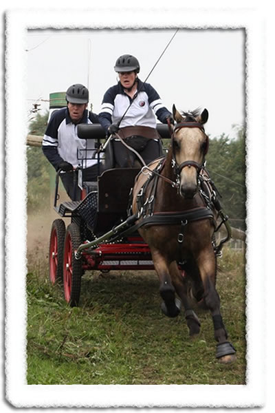 2 knappe mannen, mijn trots!!!